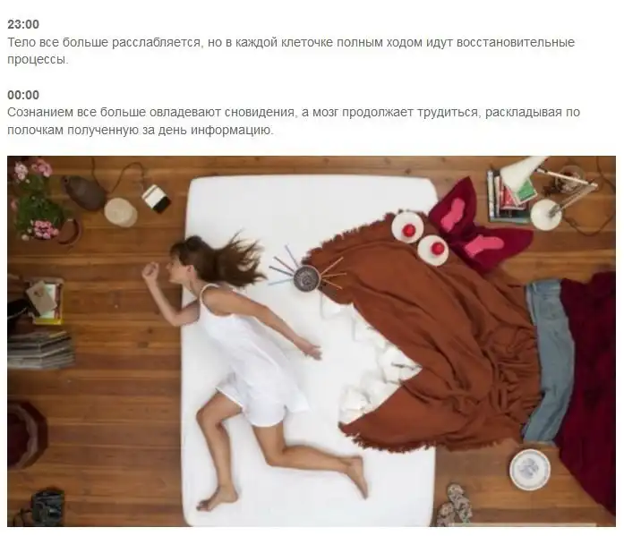 Что происходит в организме человека ночью