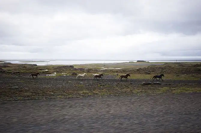 Путешествие вокруг Исландии за 7 дней