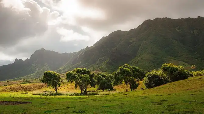 20 вещей, которые вы не знали про Гавайи