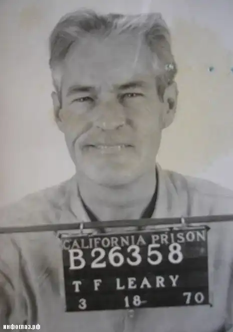 Кислотный Тимоти