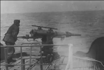 История китобойного промысла