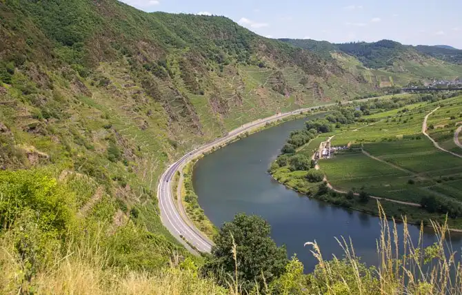 Как в Германии делают вино