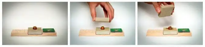 Лучшая упаковка июня 2014