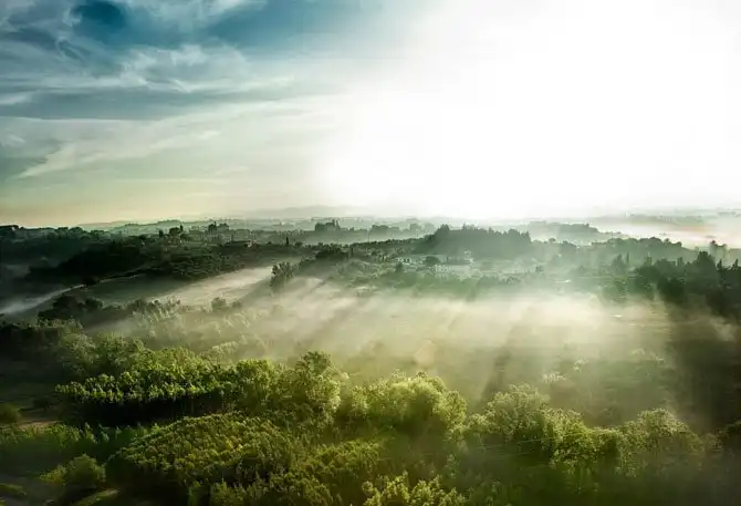 25 самых лучших кадров июня