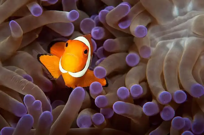 25 самых лучших кадров июня