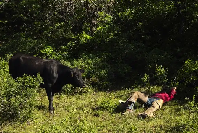 Жизнь на настоящем ранчо