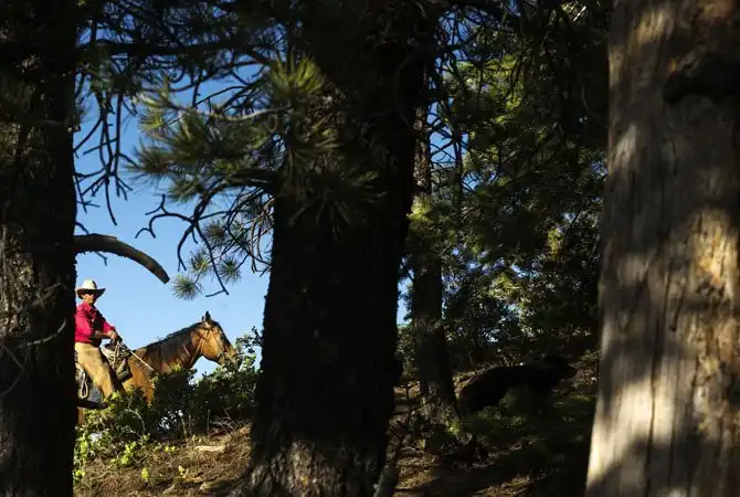 Жизнь на настоящем ранчо