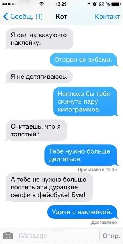 Если бы коты умели писать смски