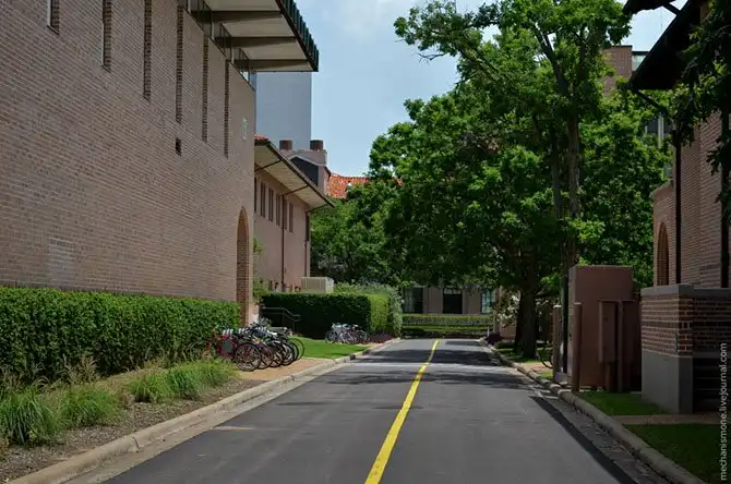 Как проходит процесс обучения в американском вузе