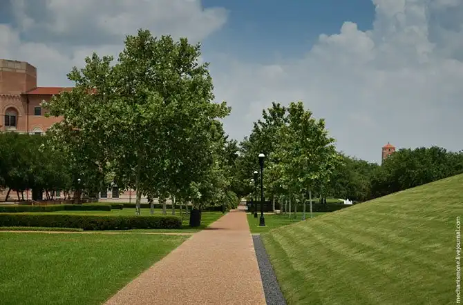 Как проходит процесс обучения в американском вузе