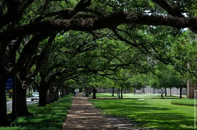 Как проходит процесс обучения в американском вузе