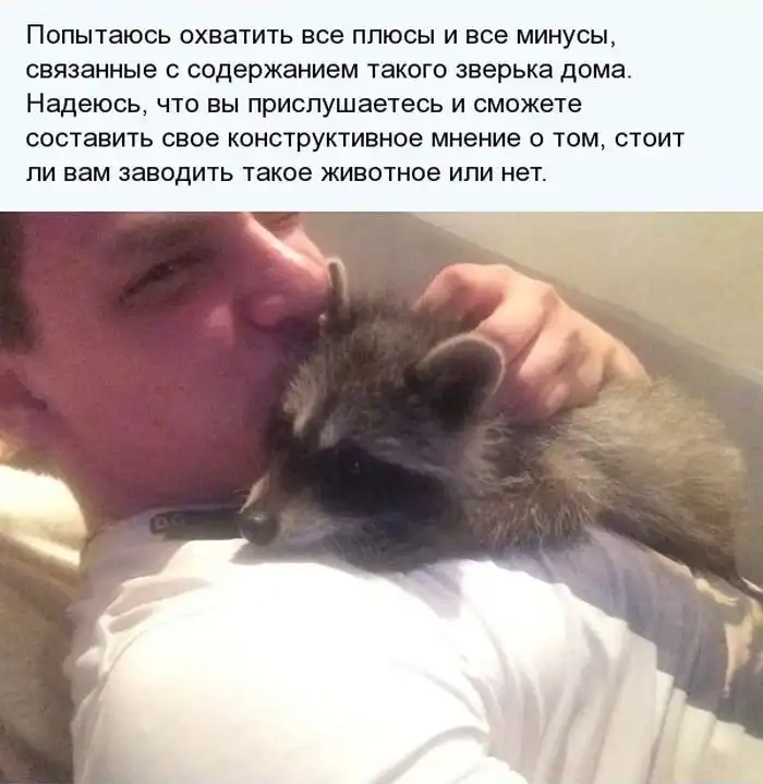 Необычный домашний питомец