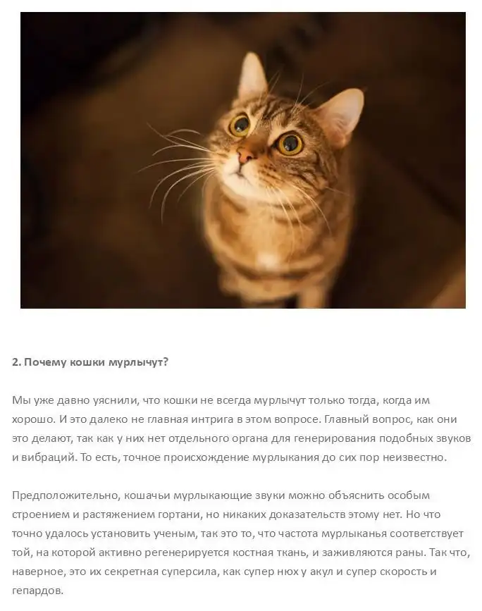 Интересные вопросы, на которые наука не может дать ответы