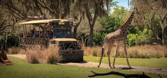 Удивительные развлечения от «Уолта Диснея»