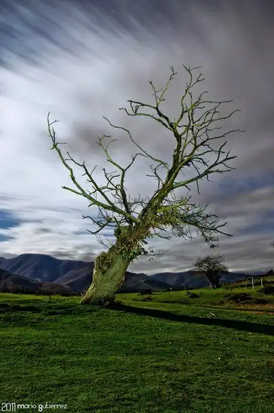 Соляночка =З