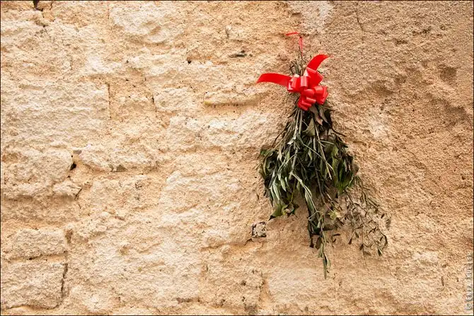 Прогулка по небольшому словенскому городоку