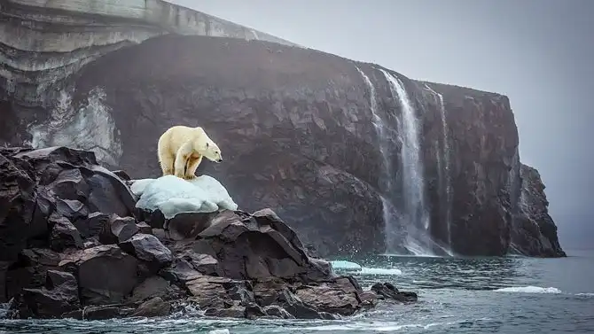 Лучшие фотографии National Geographic августа 2014