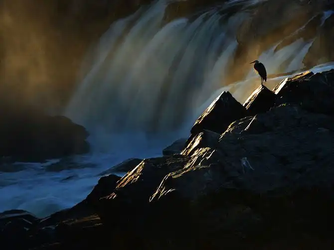 Лучшие фотографии National Geographic августа 2014