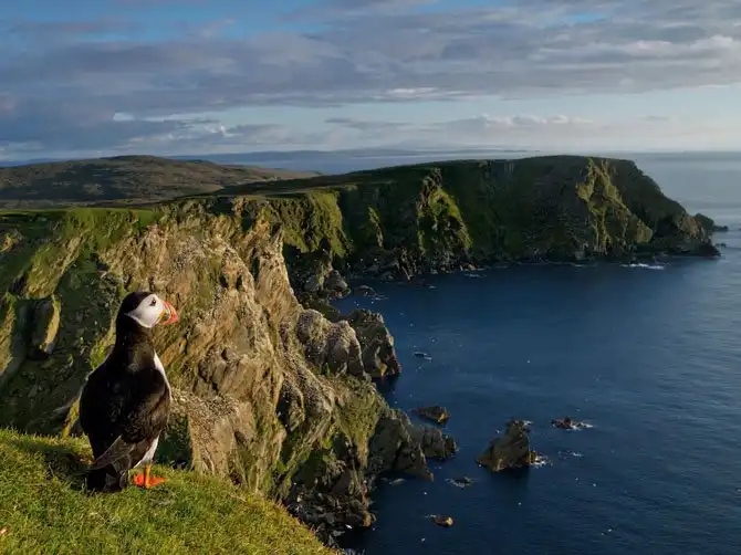 Лучшие фотографии National Geographic августа 2014