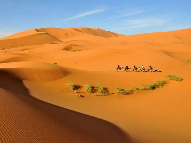 Лучшие фотографии National Geographic августа 2014