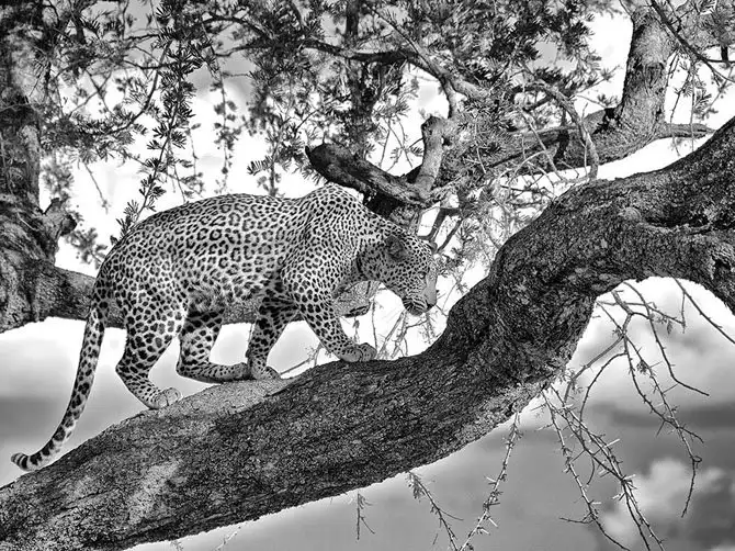 Лучшие фотографии National Geographic августа 2014