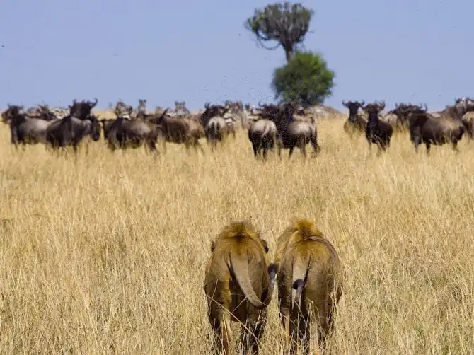 Лучшие фотографии National Geographic августа 2014