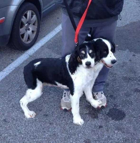 Не верь своим глазам