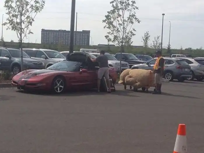 Купил подарок своей девушке