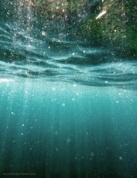 Соляночка =З