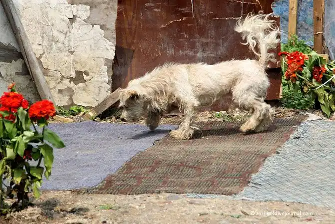 Прогулка по китайским трущобам