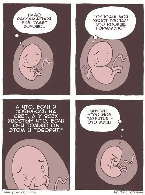 Веселые комиксы (22.09.14)