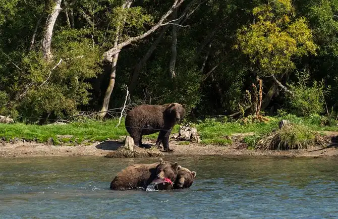 Путешествие по Камчатке