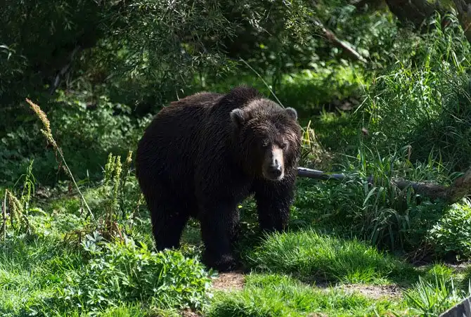 Путешествие по Камчатке