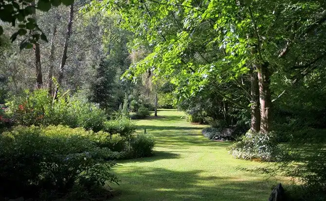 Один день во французской деревне