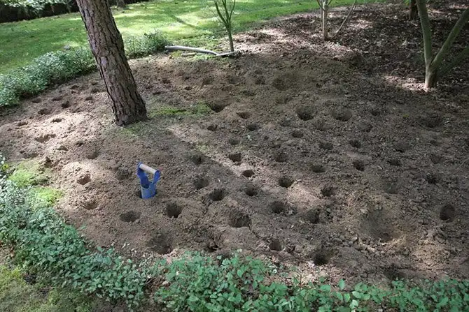 Один день во французской деревне