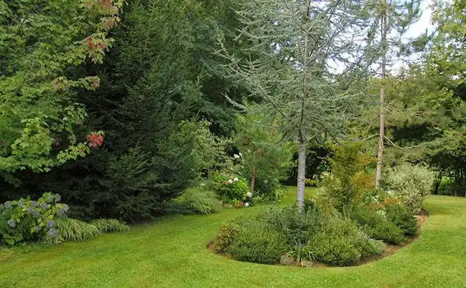 Один день во французской деревне