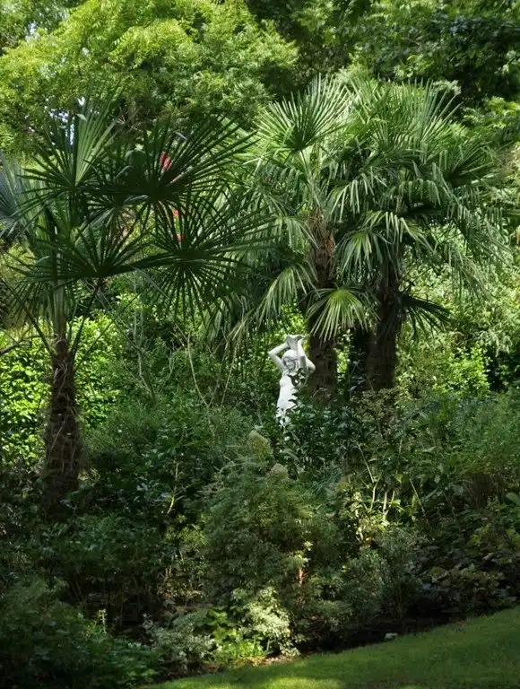 Один день во французской деревне
