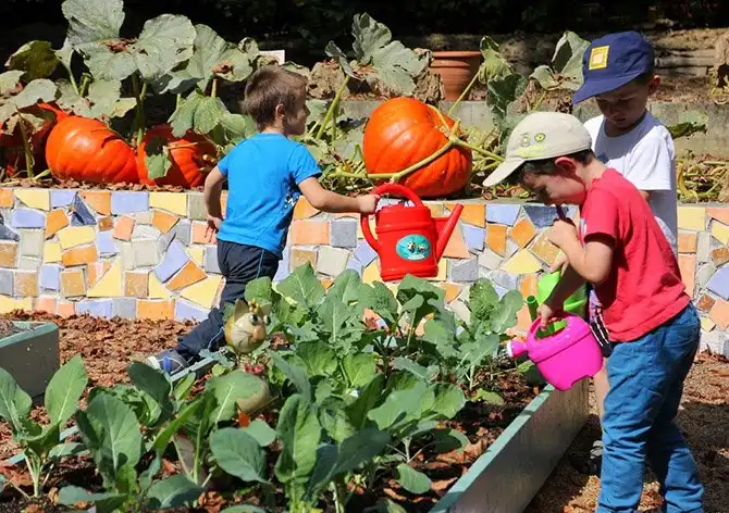 Один день во французской деревне