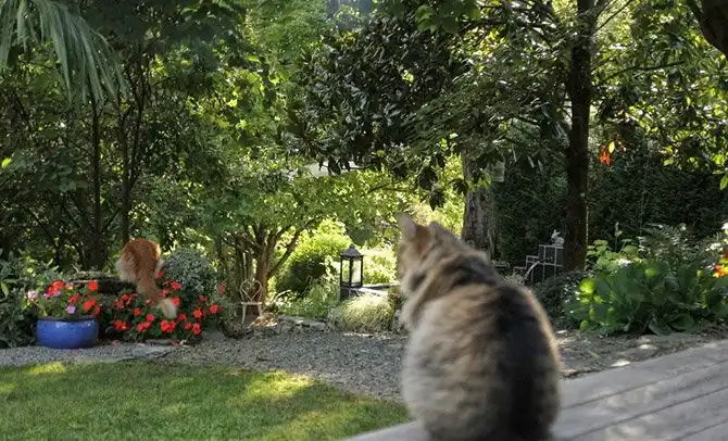 Один день во французской деревне