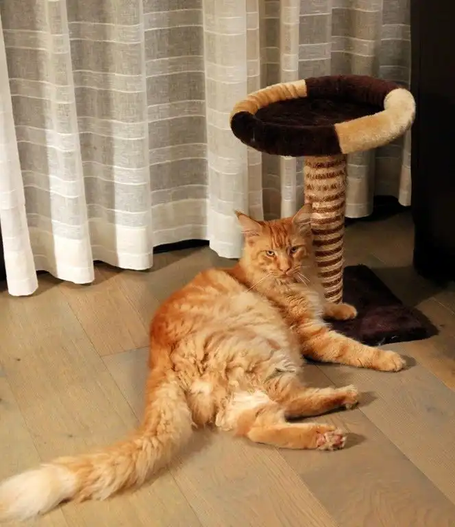 Один день во французской деревне