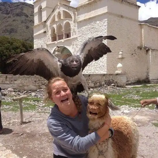 Фотошоп как смысл жизни:)