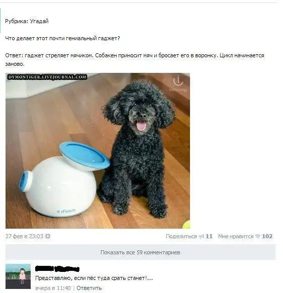 Смешные комментарии из социальных сетей