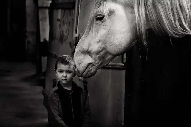 Лучшие работы конкурса «Молодые фотографы России»