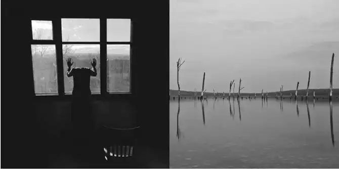 Лучшие работы конкурса «Молодые фотографы России»