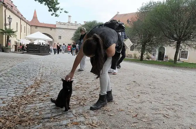 Прогулка сказочному Чешскому Крумлову