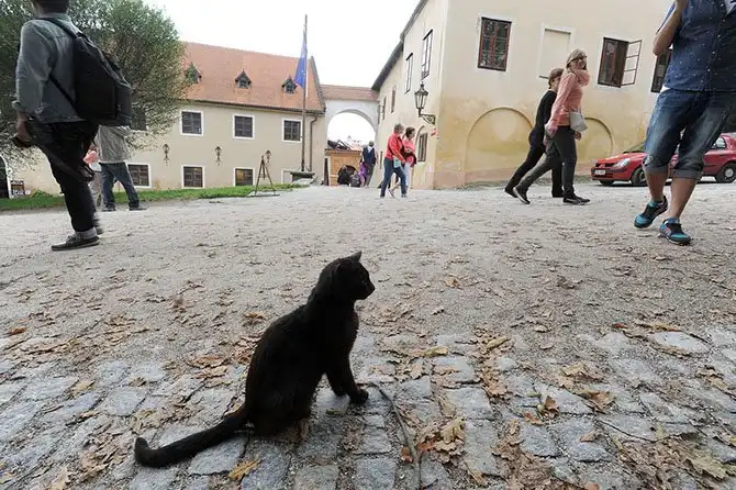 Прогулка сказочному Чешскому Крумлову