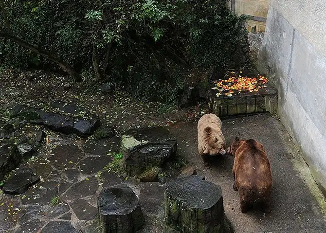 Прогулка сказочному Чешскому Крумлову