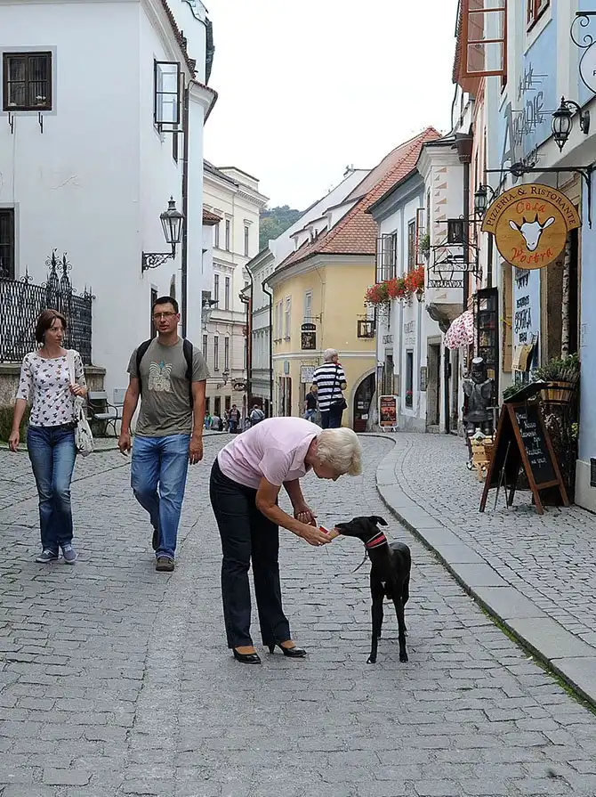 Прогулка сказочному Чешскому Крумлову