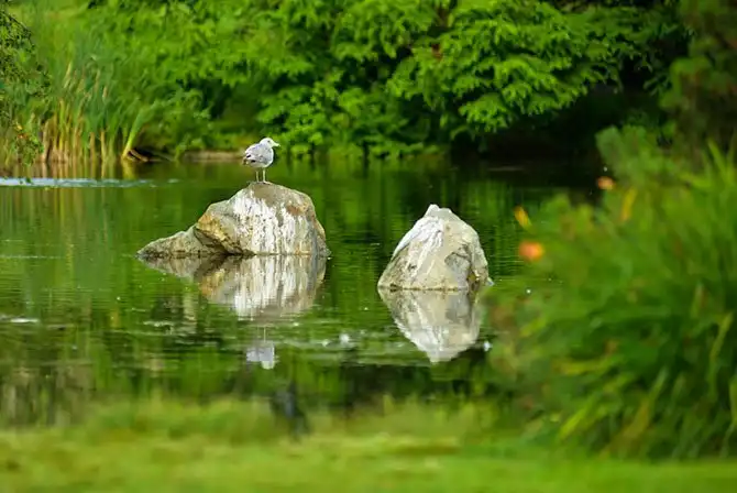 Путешествие по Ванкуверу