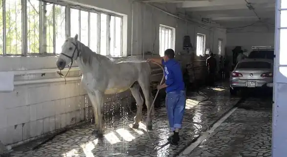 На автомойке...